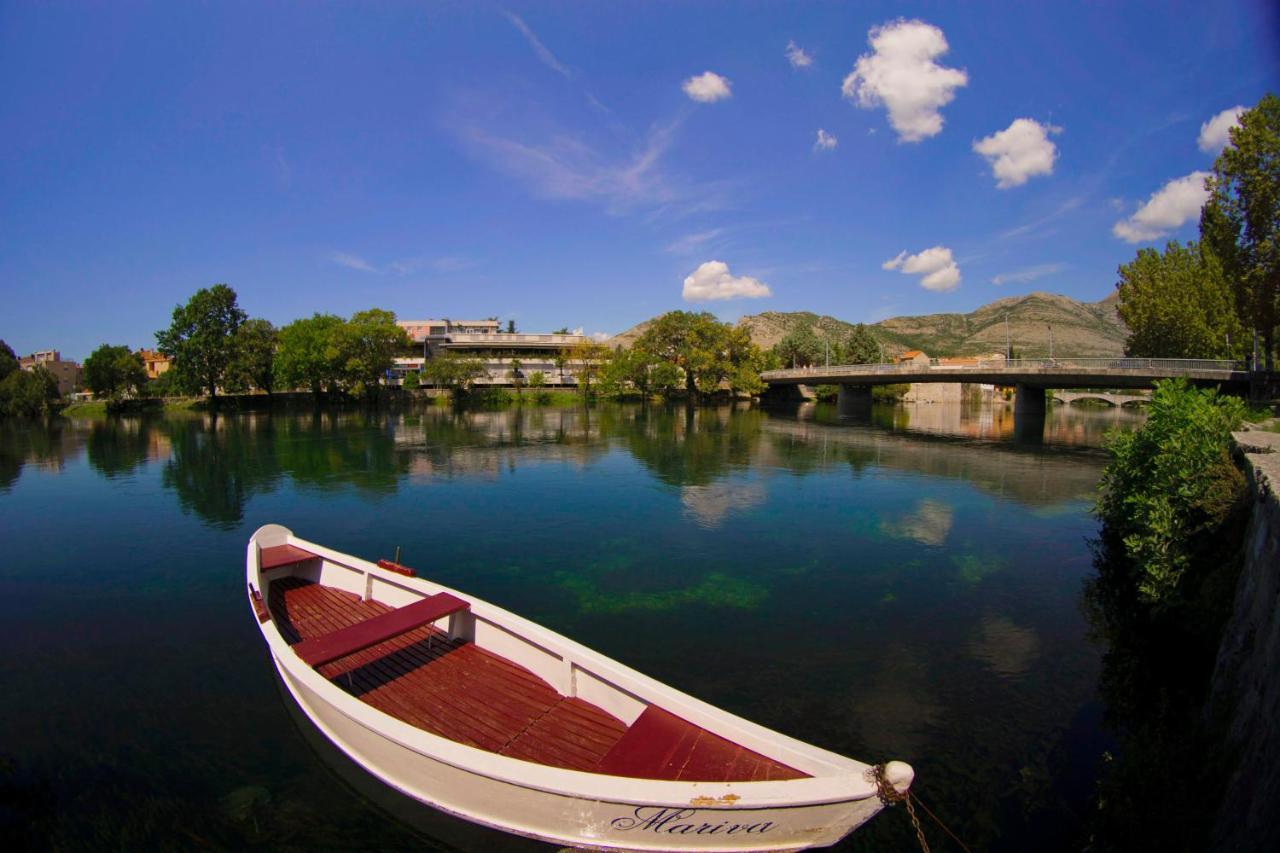 David Trebinje